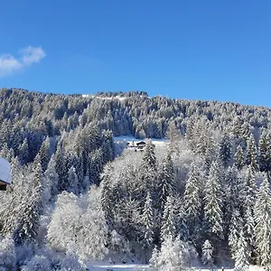 Apartment Les 3 Cols Morzine, 2 Pieces, 2 Personnes, Morzine